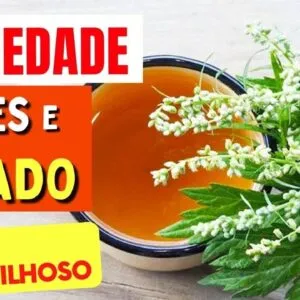 A Planta para DORES, FÍGADO e ANSIEDADE - Benefícios da Artemísia, Chá, Como Usar e Dicas