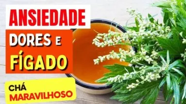 A Planta para DORES, FÍGADO e ANSIEDADE - Benefícios da Artemísia, Chá, Como Usar e Dicas