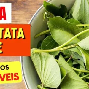 Benefícios das FOLHAS DE BATATA DOCE que TODOS DEVERIAM CONHECER! Use ASSIM!