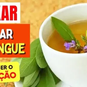 CHÁ para BAIXAR AÇÚCAR NO SANGUE, CORAÇÃO e mais! Benefícios do Chá de Sálvia, Como Usar e Dicas