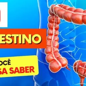 PÃO e INTESTINO - O que você PRECISA SABER!