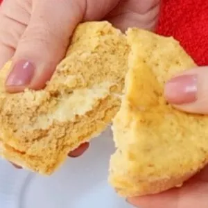 SUBSTITUA O PÃO! Só 3 MINUTOS e quase ZERO CARBOIDRATOS! Recheado, Sem Trigo, Fácil e Low Carb