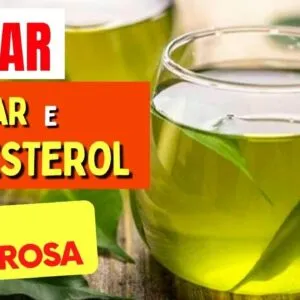 CHÁ da FOLHA DE ABACATE para Baixar Açúcar no Sangue, Emagrecer, Pressão - Benefícios e Como Usar