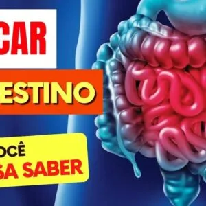 AÇÚCAR e INTESTINO - O que você PRECISA SABER!