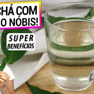 COMECE A TOMAR CHÁ DE ORA PRO NÓBIS! SUPER ALIMENTO, APRENDA A FAZER DO JEITO CERTO!