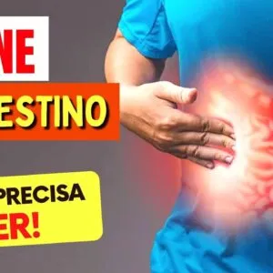 TIPOS DE CARNE e INTESTINO - O que você PRECISA SABER! (Prisão de Ventre, Inflamação, Gases e Mais)