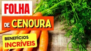Benefícios das FOLHAS DE CENOURA que TODOS DEVERIAM CONHECER! Use ASSIM!