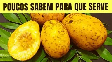 Você Não Imagina que 1 CAJÁ Possa Fazer Tudo Isso! (Como Usar e Benefícios)