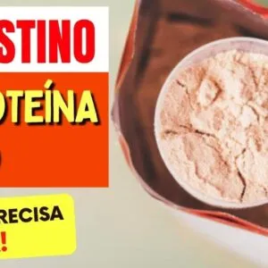 INTESTINO e PROTEÍNA EM PÓ (Whey, Albumina,...) - O que você PRECISA SABER!