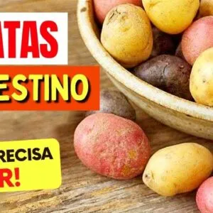 TIPOS DE BATATA e INTESTINO - O que você PRECISA SABER! (Prisão de Ventre, Inflamação, Gases e Mais)