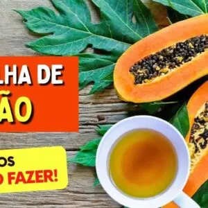 Chá de FOLHA DE MAMÃO para Digestão, Inflamação e Mais - Benefícios, Como Fazer e Como Usar