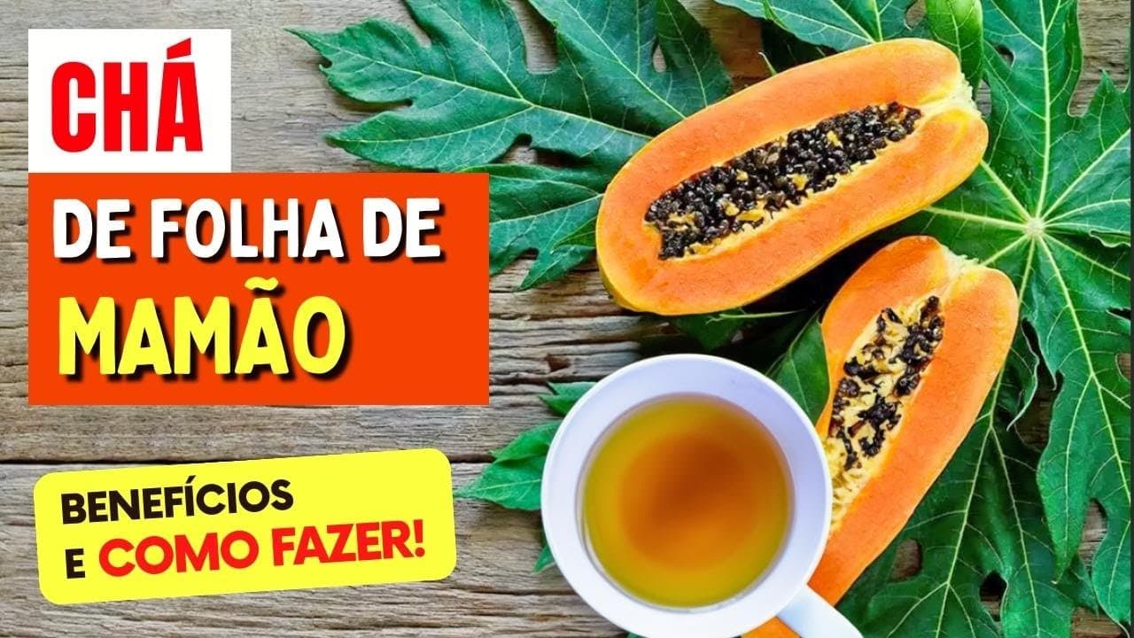 Chá de FOLHA DE MAMÃO para Digestão, Inflamação e Mais – Benefícios ...