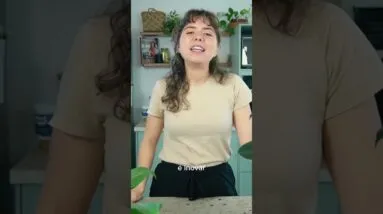 INOVE NA RECEITA | Desafio Recomeço Saudável | Dia 8