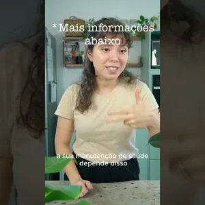 OS 3 BÁSICOS PARA A SAÚDE | Desafio Recomeço Saudável | Dia 2 #shorts