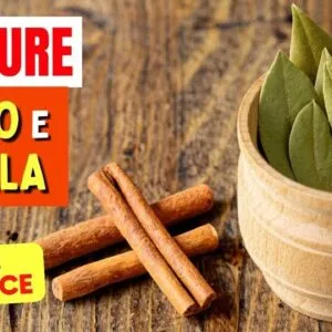 Misture FOLHAS DE LOURO com CANELA e Veja o que ACONTECE com Você! (Use Assim)