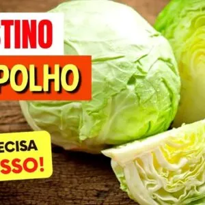 REPOLHO e INTESTINO - O que você PRECISA SABER!