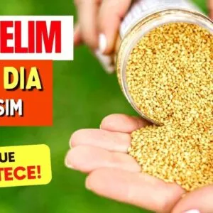 GERGELIM TODO DIA - Veja o que ACONTECE com você! (USE ASSIM!)