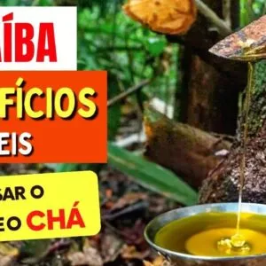 Benefícios Incríveis da COPAÍBA - Como Usar o CHÁ E ÓLEO e Dicas (Pele, Inflamação e mais)