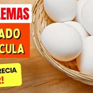 OVOS e PROBLEMAS DE FÍGADO e VESÍCULA - O que você PRECISA SABER!