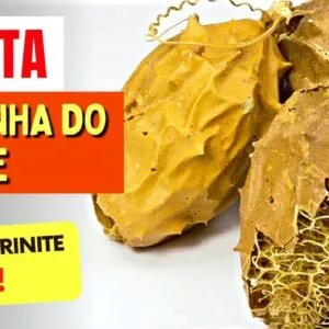 Planta para CATARRO, RINITE, RESFRIADO,... - Benefícios da Buchinha do Norte e Como Usar Certo!