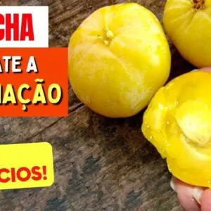 Fruta para DESINCHAR, INFLAMAÇÃO, IMUNIDADE e mais - Todos Deveriam Conhecer!