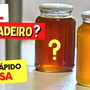Como Saber se o MEL É PURO - VERDADEIRO! (Teste Rápido em Casa!)