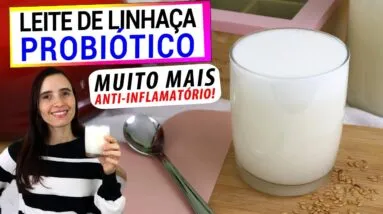 LEITE DE LINHAÇA PROBIÓTICO COMO IOGURTE!  MAIS ANTI-INFLAMATÓRIO, MAIS SAUDÁVEL!