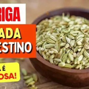 ERVA DOCE, INTESTINO e BARRIGA INCHADA - O que você PRECISA SABER!