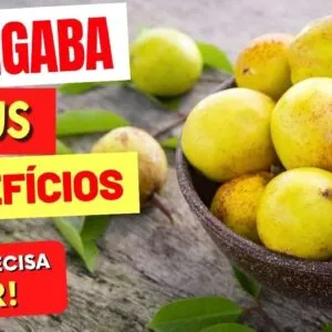 Benefícios da MANGABA que TODOS DEVERIAM CONHECER! Como Usar e Dicas