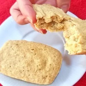 SUBSTITUA O PÃO em 2 MIN e SEM FARINHA! Delícia RICA EM FIBRAS E PROTEÍNAS, Fácil e Saudável