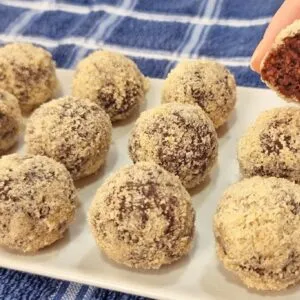 Delícia SEM AÇÚCAR e BAIXA EM CARBOIDRATOS! Sem Leite, Farinha e Manteiga - Fácil, Rápido e Low Carb