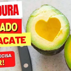 ABACATE e GORDURA NO FÍGADO - O que você PRECISA SABER!