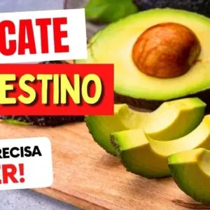 ABACATE e INTESTINO - O que você PRECISA SABER!