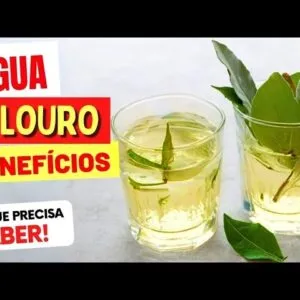 Benefícios da ÁGUA DE LOURO que Você PRECISA CONHECER - Como Fazer e USAR CERTO!