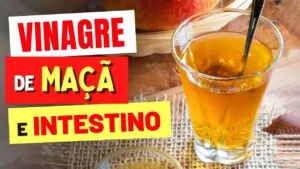VINAGRE DE MAÇÃ e INTESTINO - O que você PRECISA SABER!