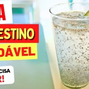 CHIA e INTESTINO - O que você PRECISA SABER!