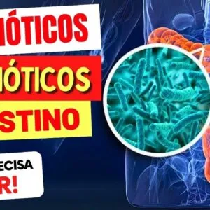 PROBIÓTICOS, PREBIÓTICOS e INTESTINO - O que você PRECISA SABER!