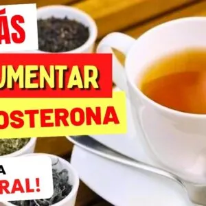 4 CHÁS para AUMENTAR A TESTOSTERONA Naturalmente!