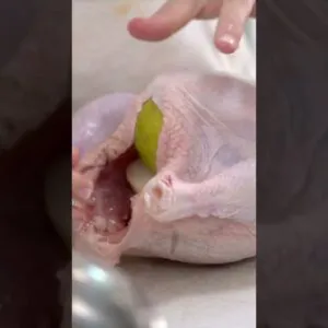 FRANGO SECO NUNCA MAIS!