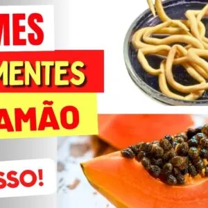 Sementes de Mamão CONTRA VERMES - Veja ISSO!