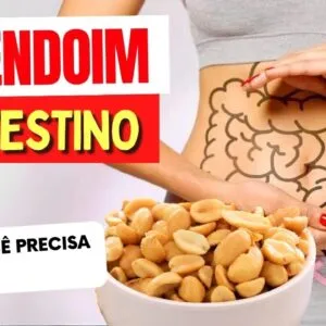 AMENDOIM e INTESTINO - O que você PRECISA SABER!