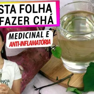 O CHÁ DESTA FOLHA É UM SUPER ALIMENTO E NINGUÉM SABE DISSO! FAÇO SEMPRE AGORA DEPOIS QUE DESCOBRI!