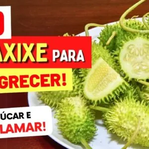 SUCO DE MAXIXE para EMAGRECER, BAIXAR AÇÚCAR, DESINFLAMAR e mais - Como Fazer e Dicas