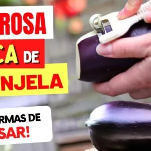 A CASCA DA BERINJELA vai FAZER ISSO COM VOCÊ! Aproveite ASSIM - 10 Formas Incríveis de Usar