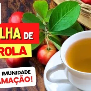 CHÁ da FOLHA DE ACEROLA para Desinflamar, Imunidade, Digestão,... - Benefícios e Como Usar