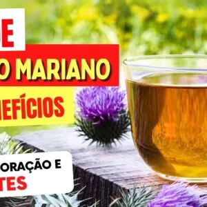 CHÁ de CARDO MARIANO para Fígado Gordo, Diabetes, Coração,... 9 Benefícios Incríveis e Dicas