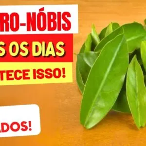 ORA-PRO-NOBIS TODO DIA - Veja o que ACONTECE com você! (USE ASSIM)