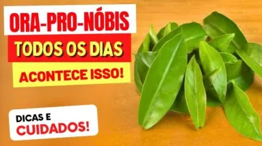 ORA-PRO-NOBIS TODO DIA - Veja o que ACONTECE com você! (USE ASSIM)