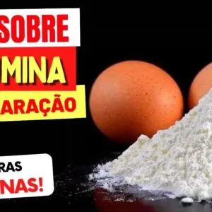 TUDO sobre ALBUMINA e Comparação com WHEY e outras PROTEÍNAS