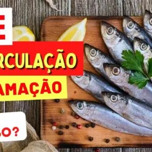 PEIXE, MÁ CIRCULAÇÃO e INFLAMAÇÃO DOS VASOS - Informações Importantes (É REMOSO?)